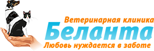 Демодекоз у кошек симптомы фото и лечение инкубационный период